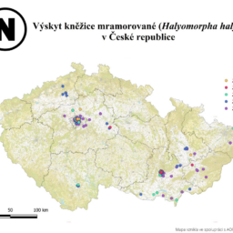 Kněžice mramorovaná 2022_s logem