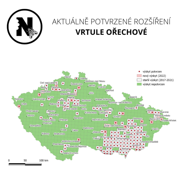 vrtule ořechová 25.11.2022